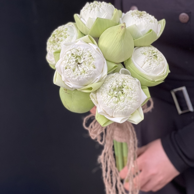 TINH LIÊN - HOA CÔ DÂU ĐẶC BIỆT