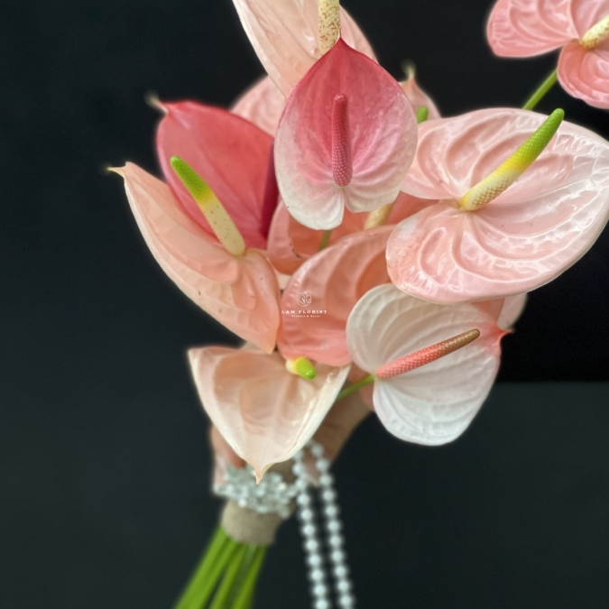 'HỒNG NGỌC CHÂU SA'