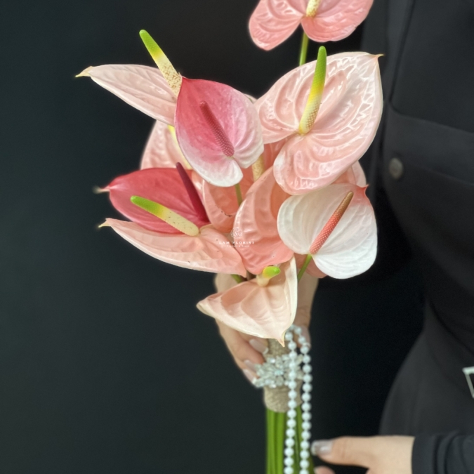 'HỒNG NGỌC CHÂU SA'