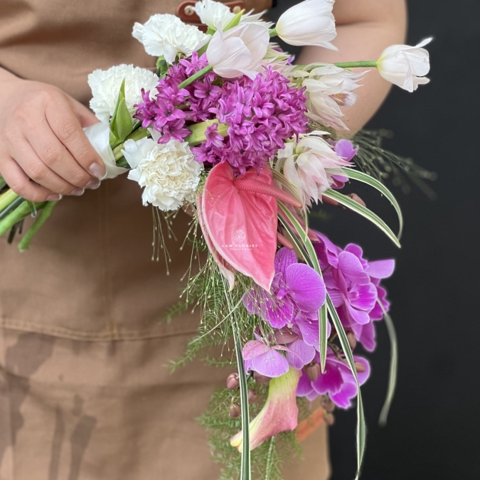  “Dáng Hồng Thác Mộng"