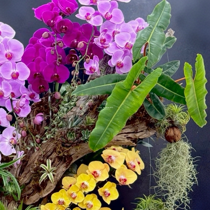 Sắc Ngọc Thiên Nhiên – The Orchid Symphony