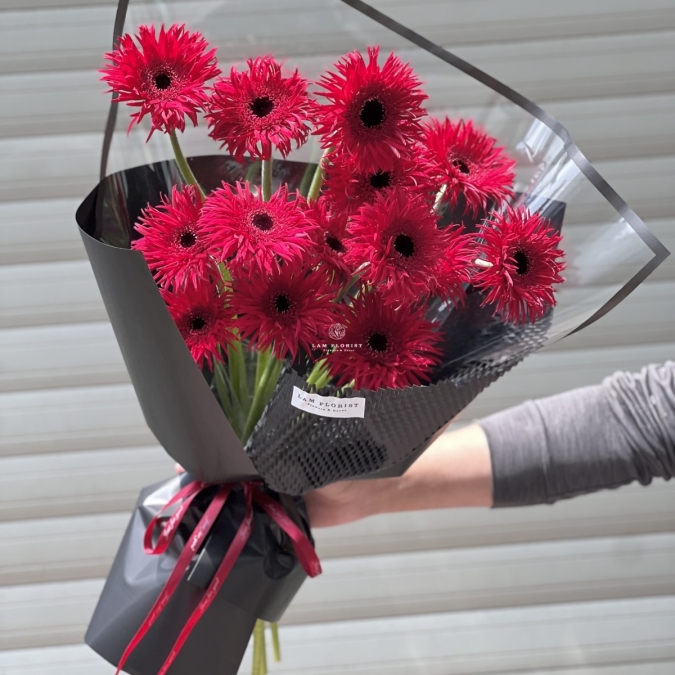 Rực rỡ mỗi ngày- Đồng Tiền Đỏ