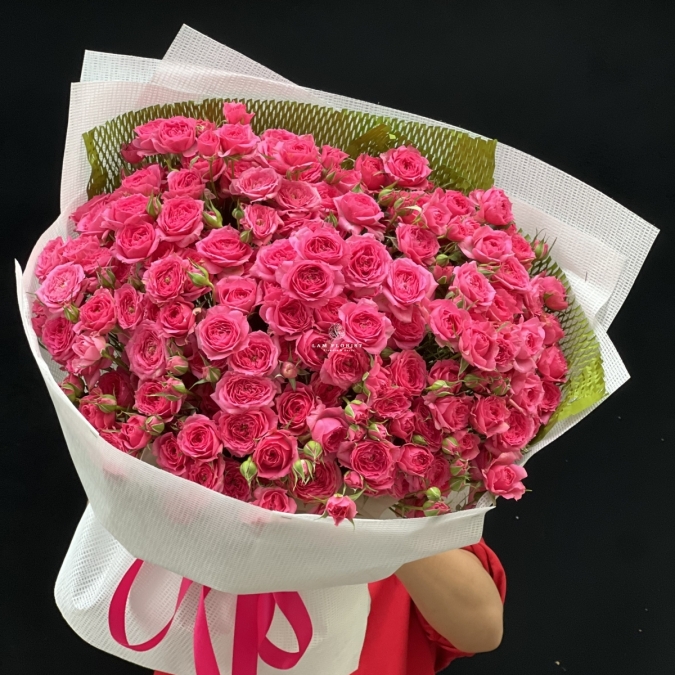 “Sofia Rực Rỡ – Lời Yêu Thương Ngọt Ngào”