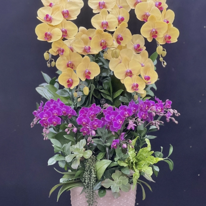 Phúc Lộc Vượng Niên