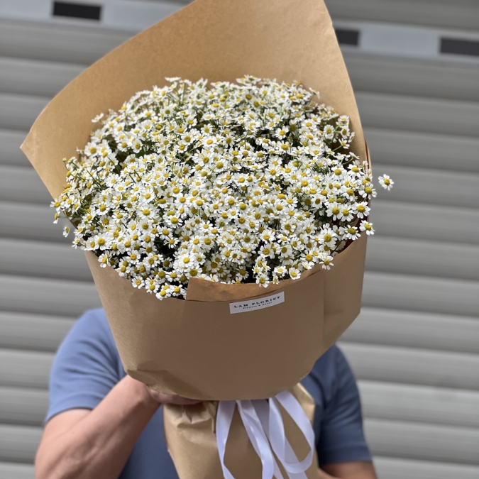 “Tana Melody – Giai Điệu Của Nắng”