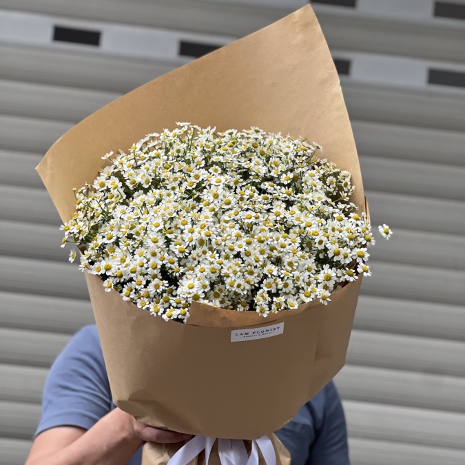 “Tana Melody – Giai Điệu Của Nắng”