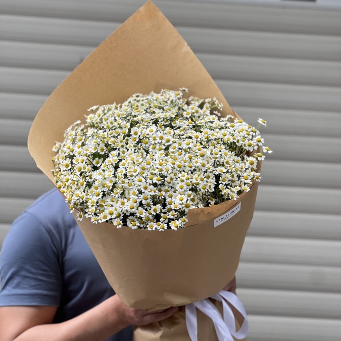 “Tana Melody – Giai Điệu Của Nắng”