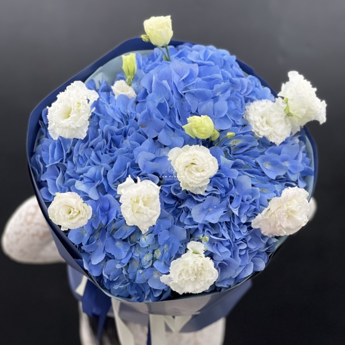 “Blue Dream – Giấc Mơ Xanh”