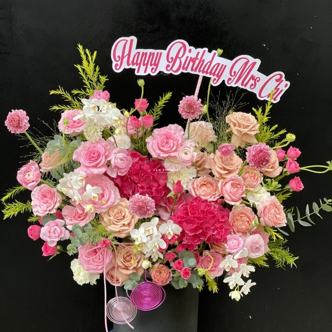 “Sắc Hồng Thanh Khiết”