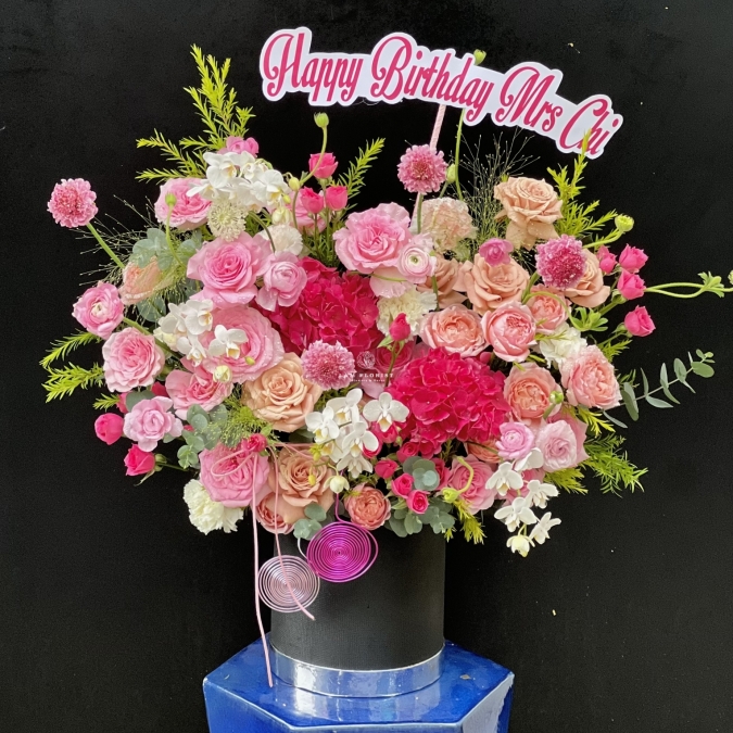 “Sắc Hồng Thanh Khiết”