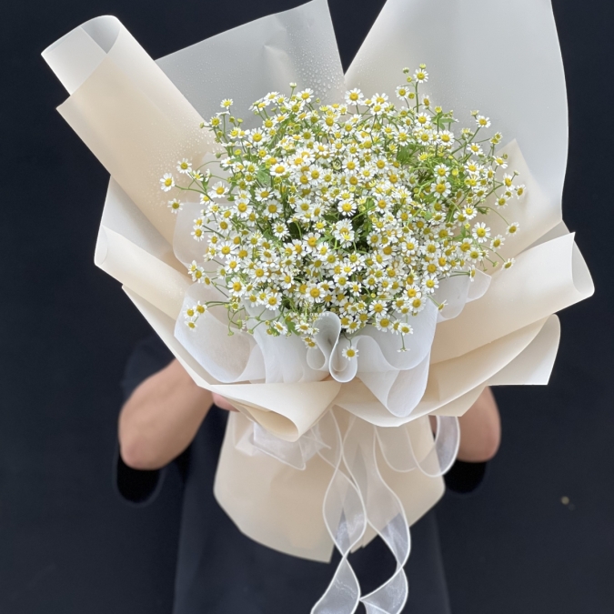 “Tinh Khôi Nắng Sớm” ☀️