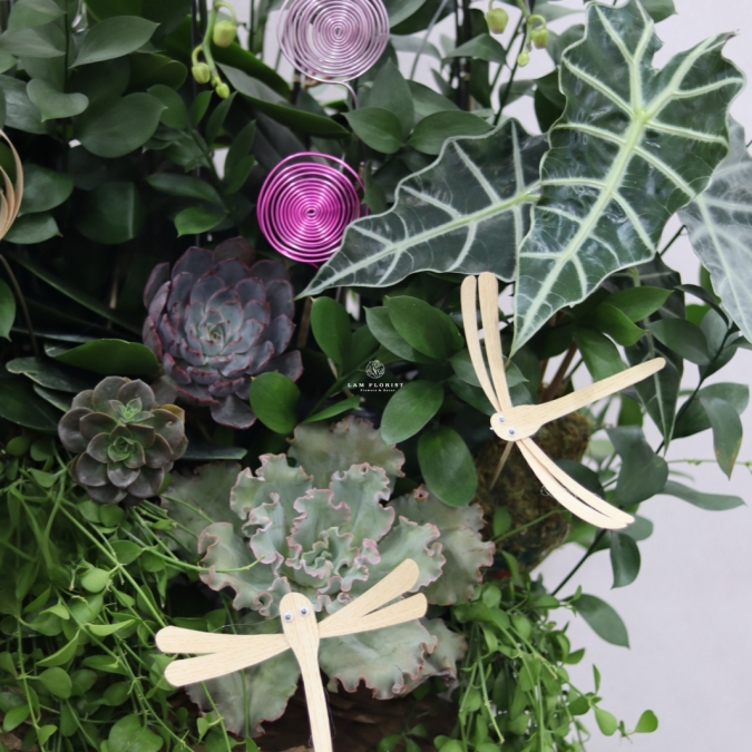 “Lan Vũ Thành Công” 