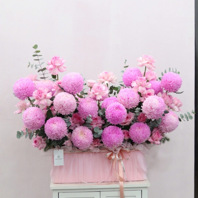 Blush Peony Elegance – Vẻ Đẹp Mẫu Đơn Phấn Hồng