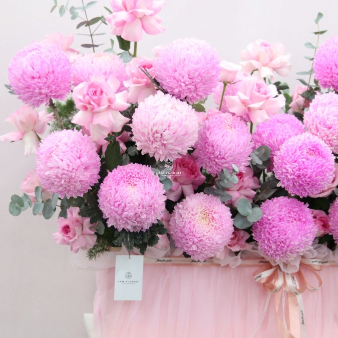 Blush Peony Elegance – Vẻ Đẹp Mẫu Đơn Phấn Hồng