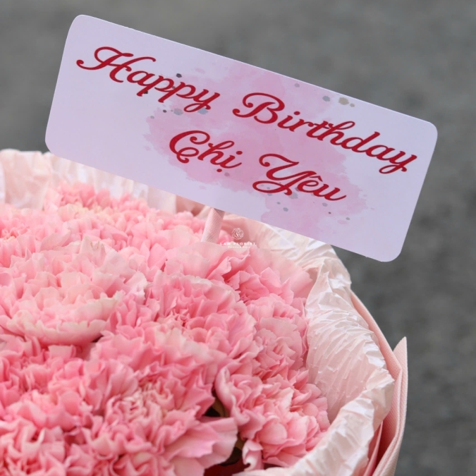  “Pink Devotion – Dịu Dàng Một Lời Yêu”