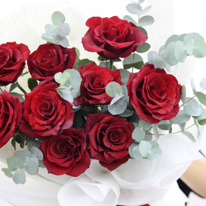  “Crimson Prestige – Quyền Uy Đỏ Thẫm”