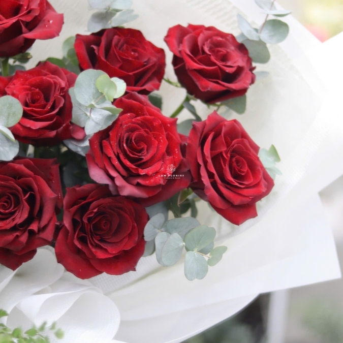  “Crimson Prestige – Quyền Uy Đỏ Thẫm”