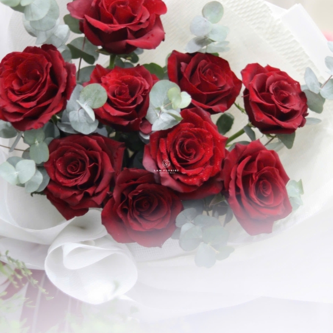  “Crimson Prestige – Quyền Uy Đỏ Thẫm”