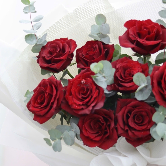  “Crimson Prestige – Quyền Uy Đỏ Thẫm”