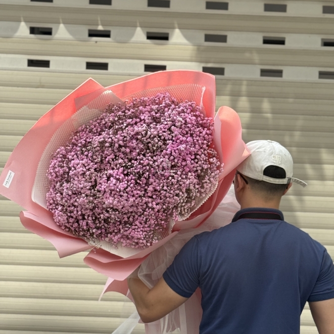 “Baby Hồng Mây – Vẻ Đẹp Mong Manh Như Áng Sớm