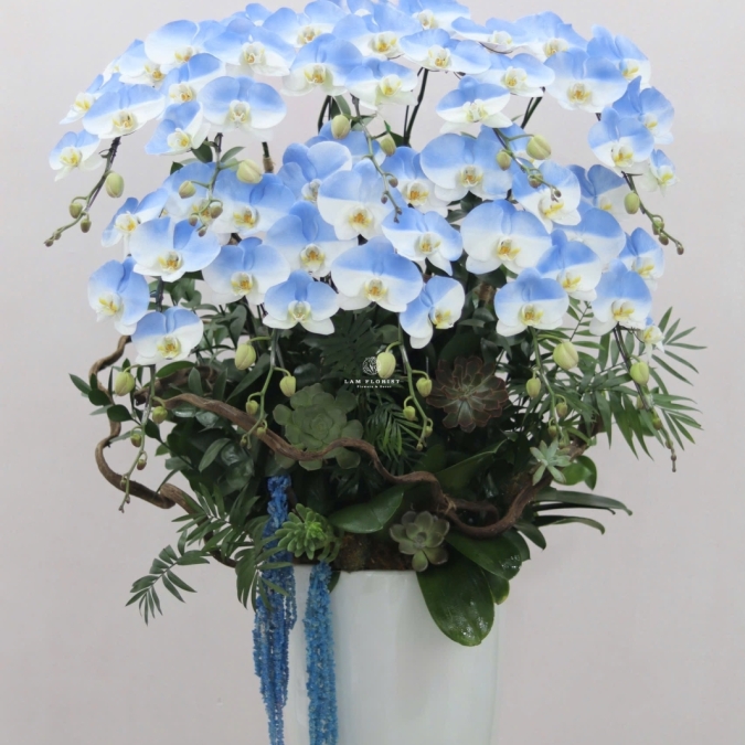  “Emerald Grace – Ngọc Lục Thanh Hoa”