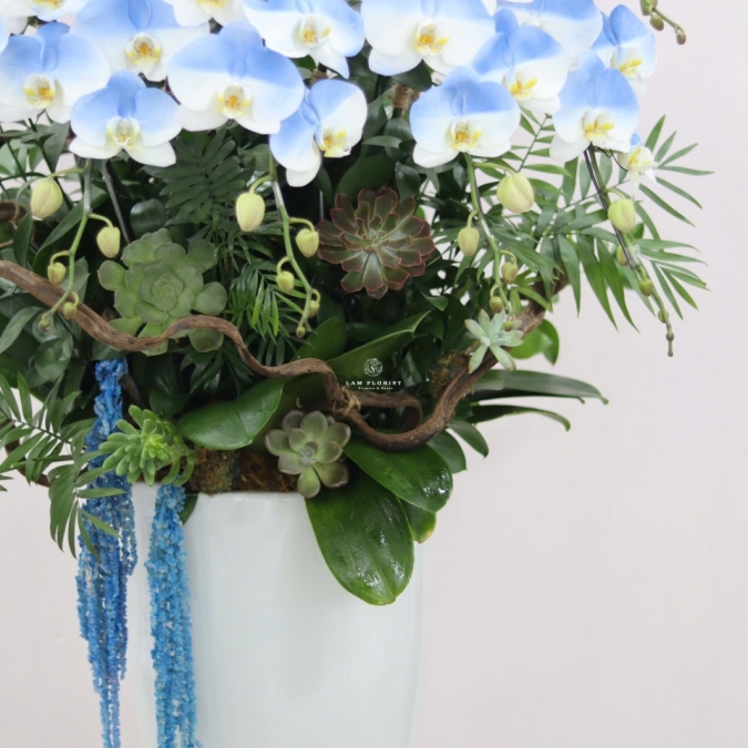  “Emerald Grace – Ngọc Lục Thanh Hoa”