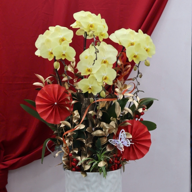 🌼 LAN HỒ ĐIỆP LŨA GỖ – KHỞI ĐẦU MAY MẮN, TÀI LỘC BỀN LÂU 🌼