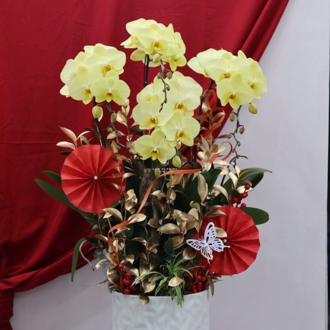 🌼 LAN HỒ ĐIỆP LŨA GỖ – KHỞI ĐẦU MAY MẮN, TÀI LỘC BỀN LÂU 🌼