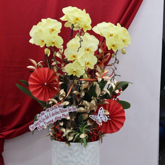 🌼 LAN HỒ ĐIỆP LŨA GỖ – KHỞI ĐẦU MAY MẮN, TÀI LỘC BỀN LÂU 🌼