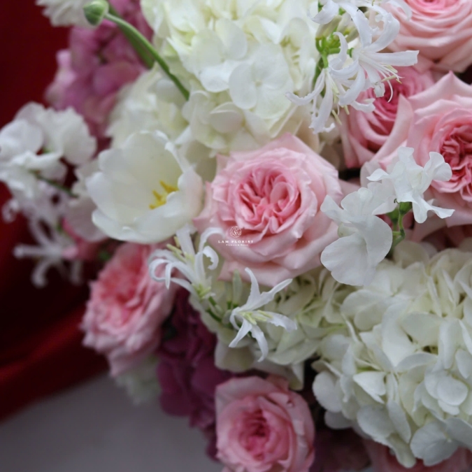 🤍 THANH ÂM CỦA SỰ YÊU THƯƠNG 🤍