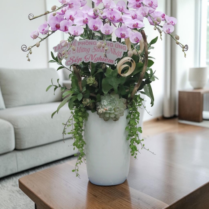 Chậu Lan Hồ Điệp Hồng Nhạt 8 cành