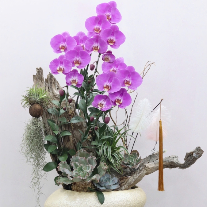 Chậu Lan Lụa Gỗ Nghệ Thuật – Vẻ Đẹp Vĩnh Cửu (Elegant Driftwood Orchid Arrangement)