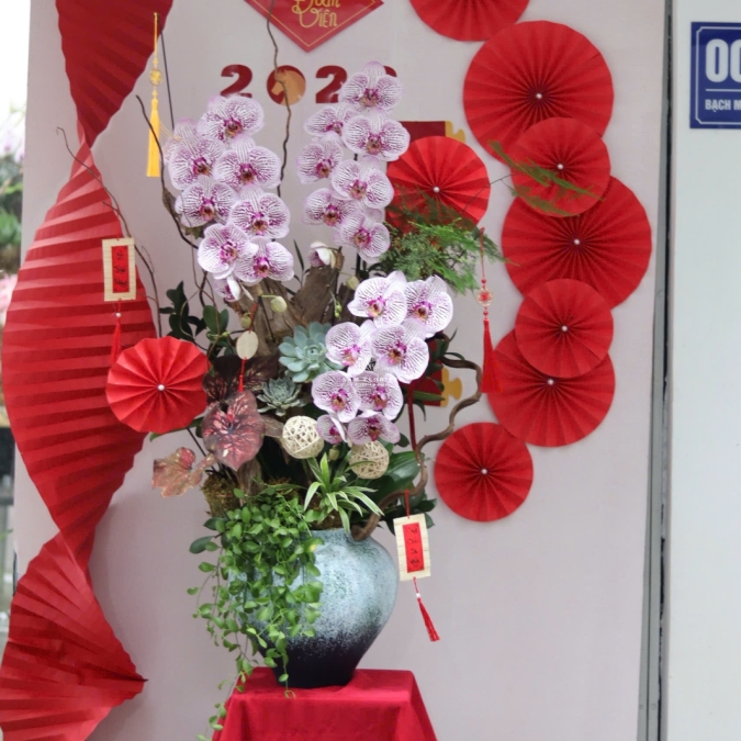 LAN HỒ ĐIỆP TÍM ĐỐM NGỌC – VẺ ĐẸP TINH TẾ, SANG TRỌNG CHO KHÔNG GIAN ĐẦU NĂM