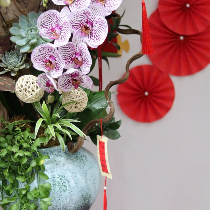 LAN HỒ ĐIỆP TÍM ĐỐM NGỌC – VẺ ĐẸP TINH TẾ, SANG TRỌNG CHO KHÔNG GIAN ĐẦU NĂM