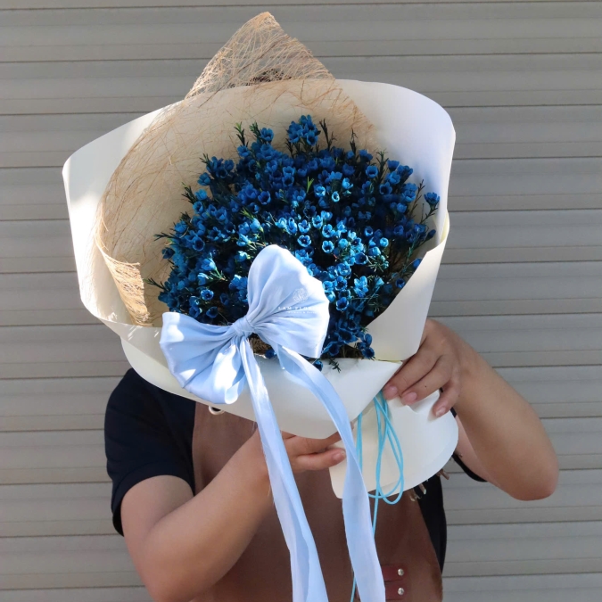 “Blue Serenity – Bình Yên Dịu Nhẹ”