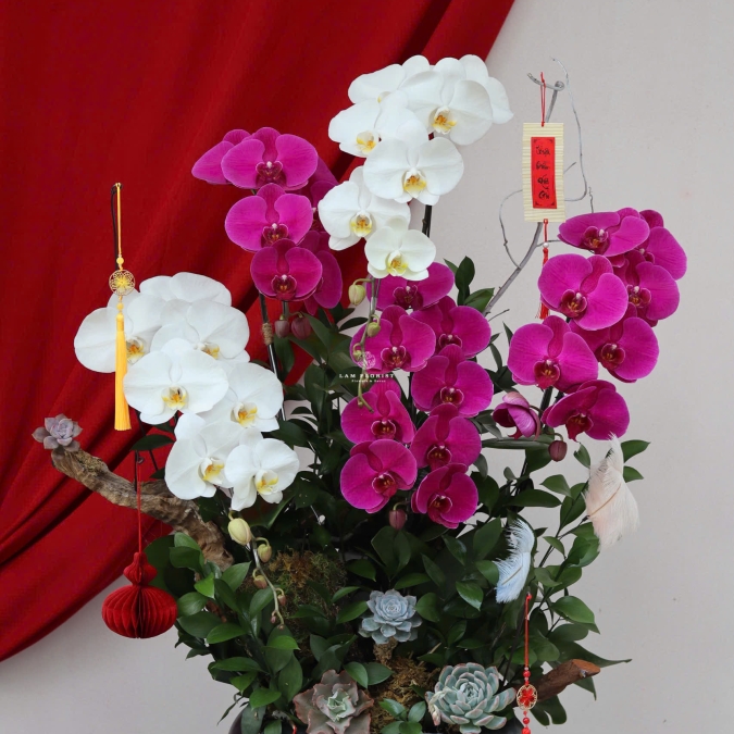 “Song Hỷ Phú Hoa – Sắc Xuân Giao Hoà”