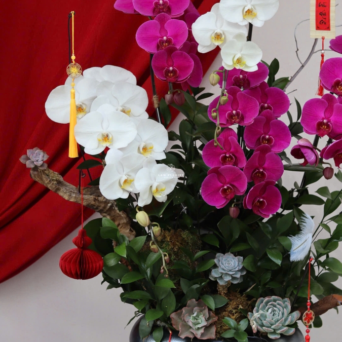 “Song Hỷ Phú Hoa – Sắc Xuân Giao Hoà”