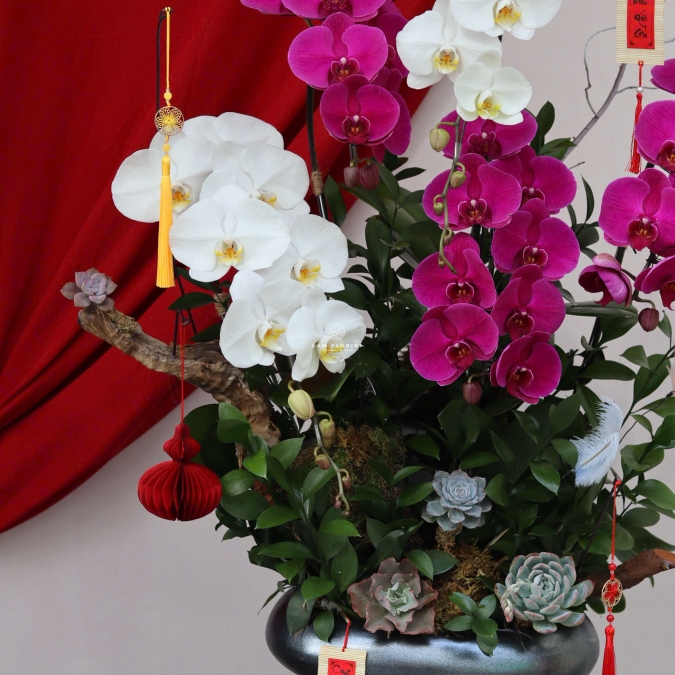 “Song Hỷ Phú Hoa – Sắc Xuân Giao Hoà”