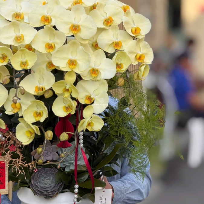 “Kim Ngọc An Nhiên – Thanh Sắc Phú Quý”