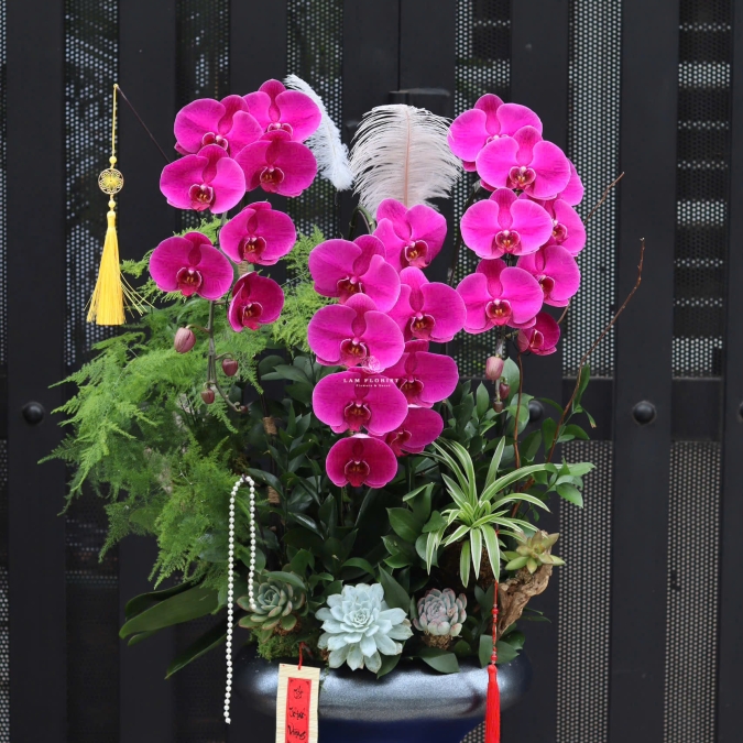 “Hồng Phúc An Khang – Sắc Hoa Thịnh Vượng”