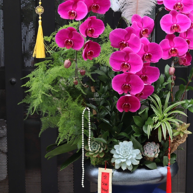 “Hồng Phúc An Khang – Sắc Hoa Thịnh Vượng”