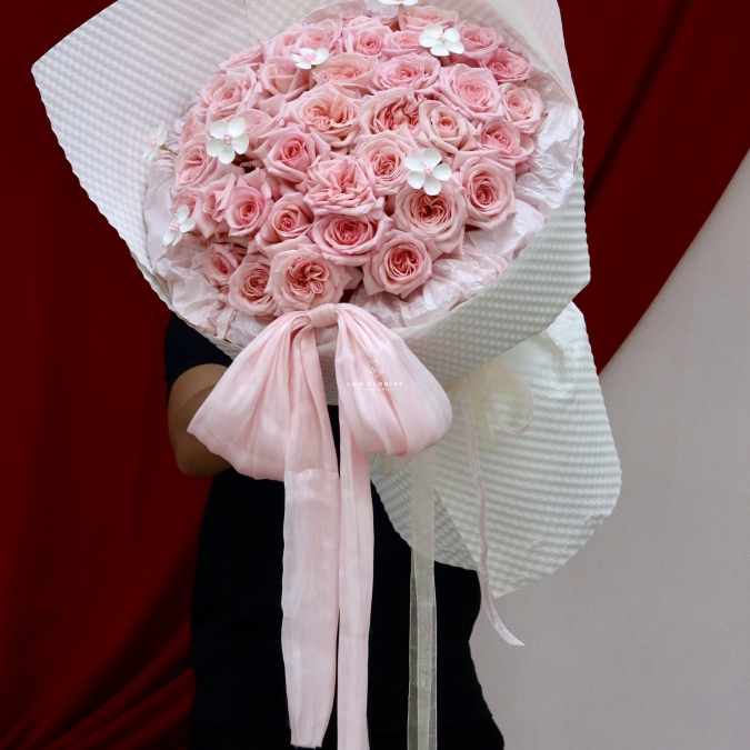 “Pink Ballet – Vũ Điệu Dịu Dàng”