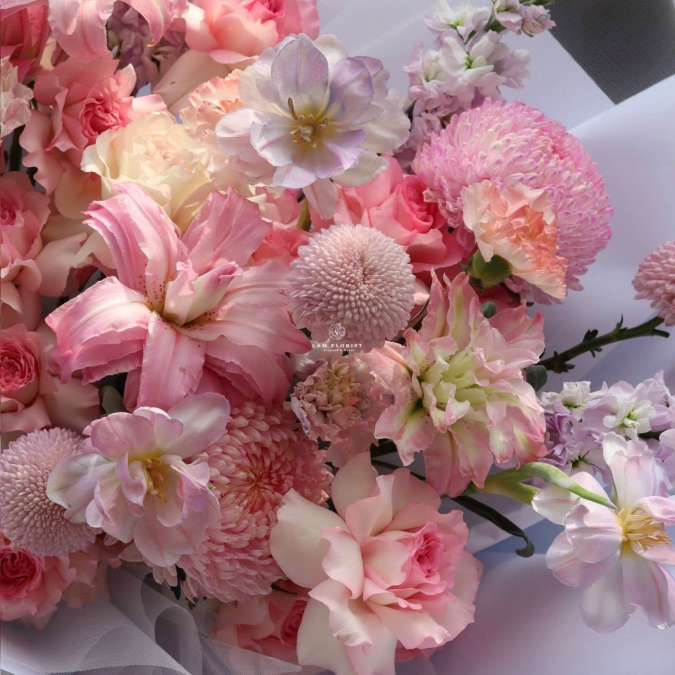 “Ly Kép & Hồng Lạc Thần – Dịu Dàng Say Đắm”