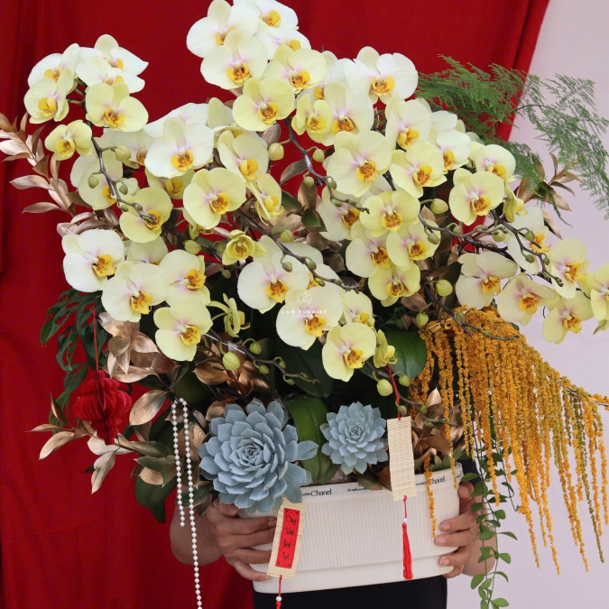 “Lan Hồ Điệp Vàng – Phú Quý Kim An”