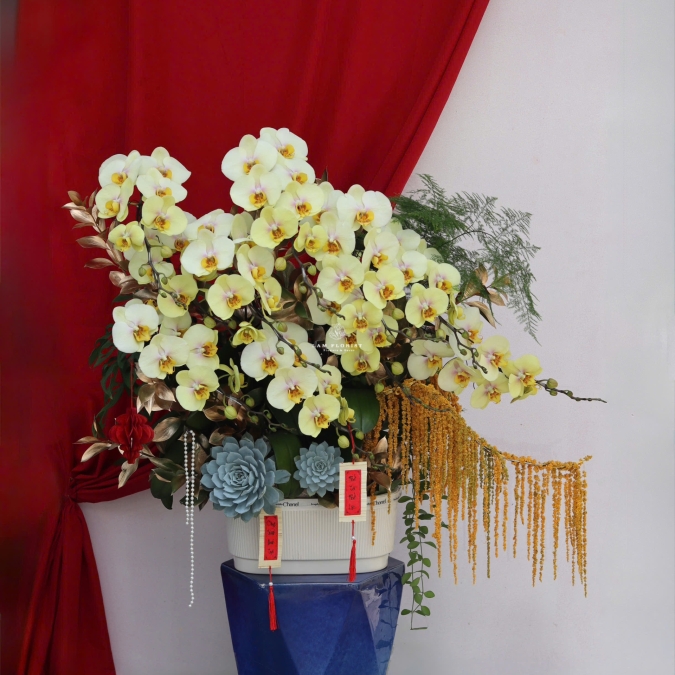 “Lan Hồ Điệp Vàng – Phú Quý Kim An”