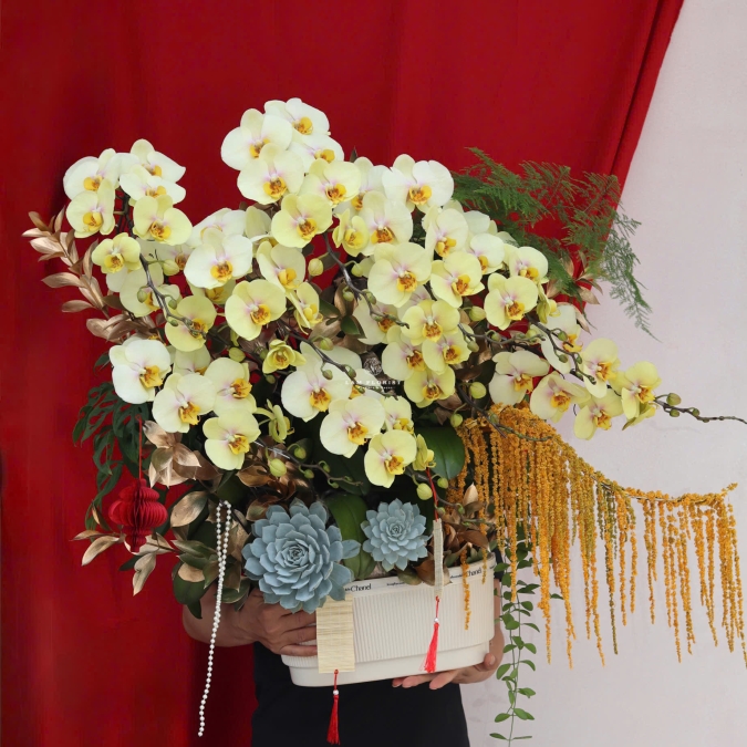 “Lan Hồ Điệp Vàng – Phú Quý Kim An”