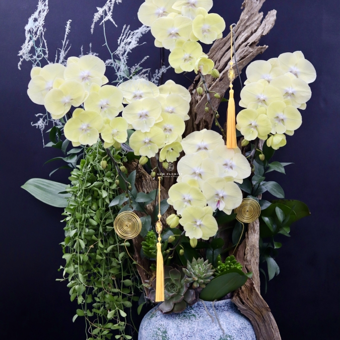 “Lan Hồ Điệp Vàng Gỗ Lũa – Vượng Khí Sinh Tài”