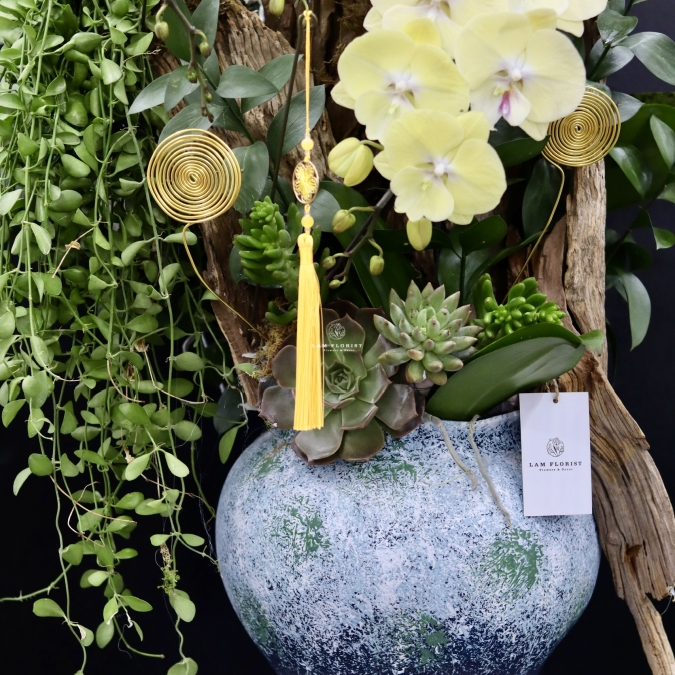 “Lan Hồ Điệp Vàng Gỗ Lũa – Vượng Khí Sinh Tài”