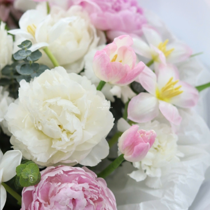 “Peony Nhập Khẩu Trắng Hồng – Thanh Khiết Dịu Êm”