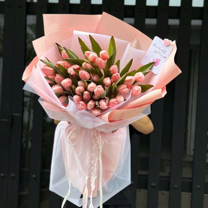 “Tulip Hồng Nhập Khẩu – Dịu Dàng Yêu Thương”